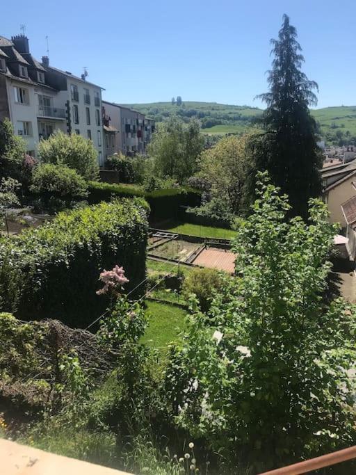 Appartement Centre Ville Terrasse Jardin Garage Chez Priscilla Aurillac Bagian luar foto