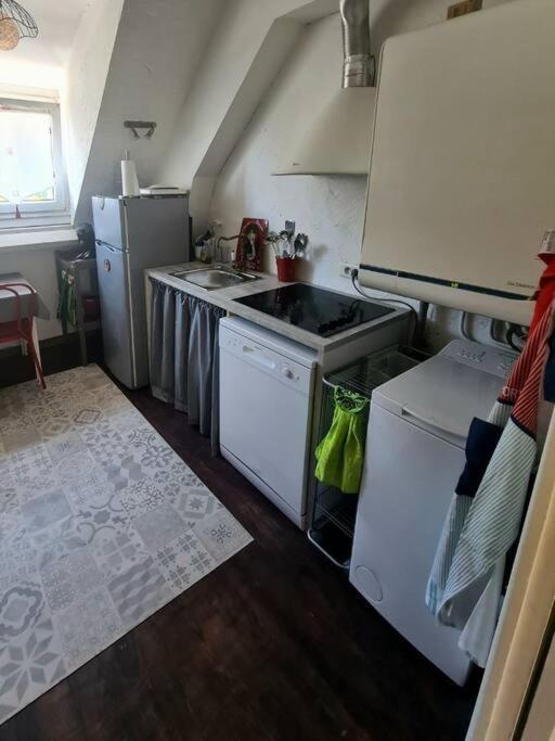 Appartement Centre Ville Terrasse Jardin Garage Chez Priscilla Aurillac Bagian luar foto